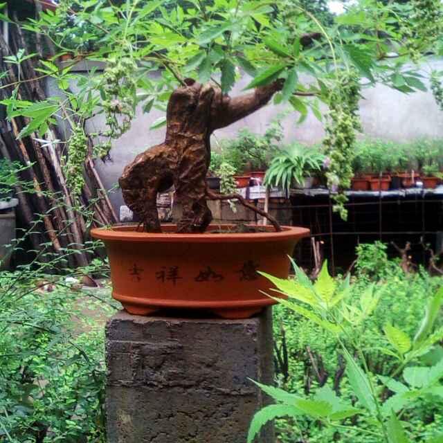 杜德贵