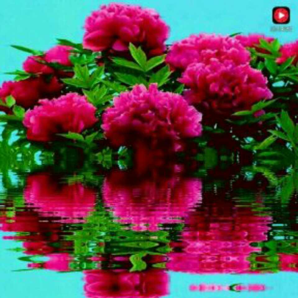 淡🌟 若清风（拒绝私聊）