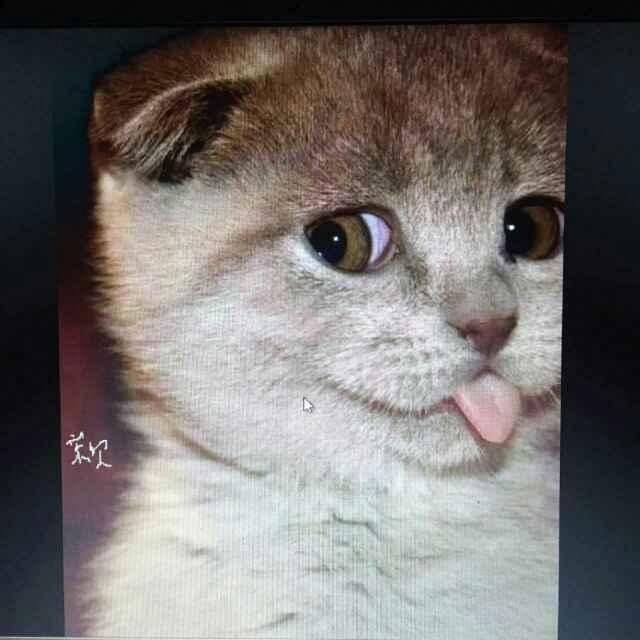 @༄༊࿆ꪶꪮꪜꫀ ꪗꪮꪊོྂཾ࿆࿐：‹$