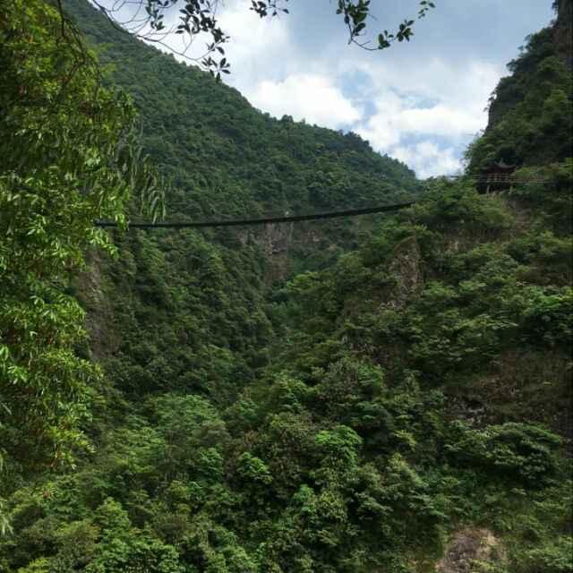 酒龙