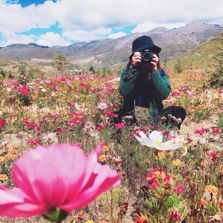 鳖鳖是只睡乌龟