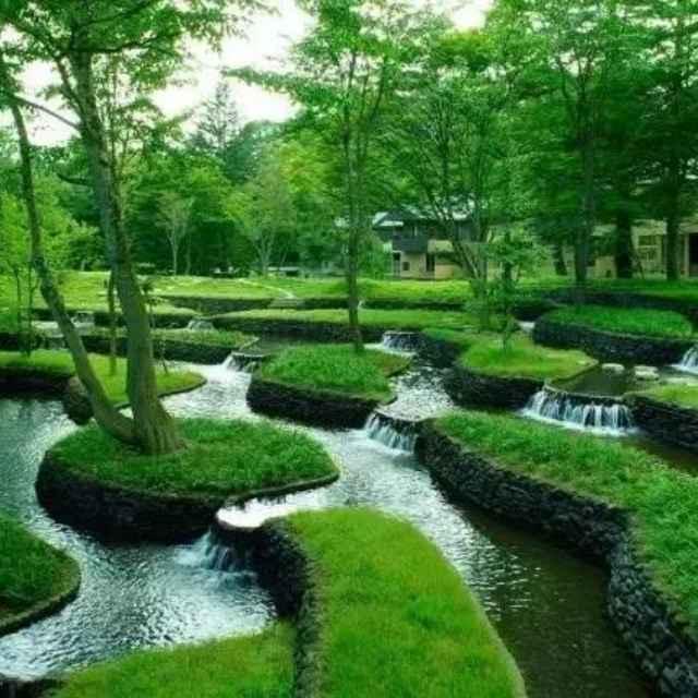 顺其自然
