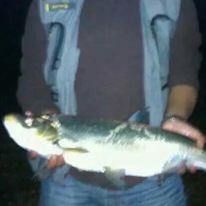 吉有渔具-洪叫兽