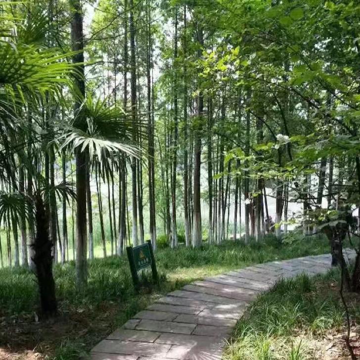 哈罗