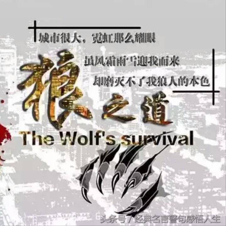 德醉知吾