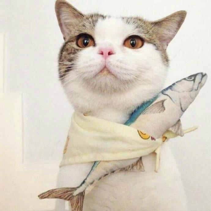 🐙外心人。