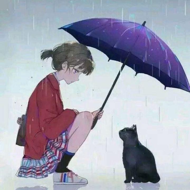 蜜糖里的月光