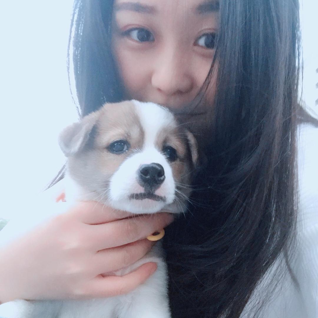 是静静啊