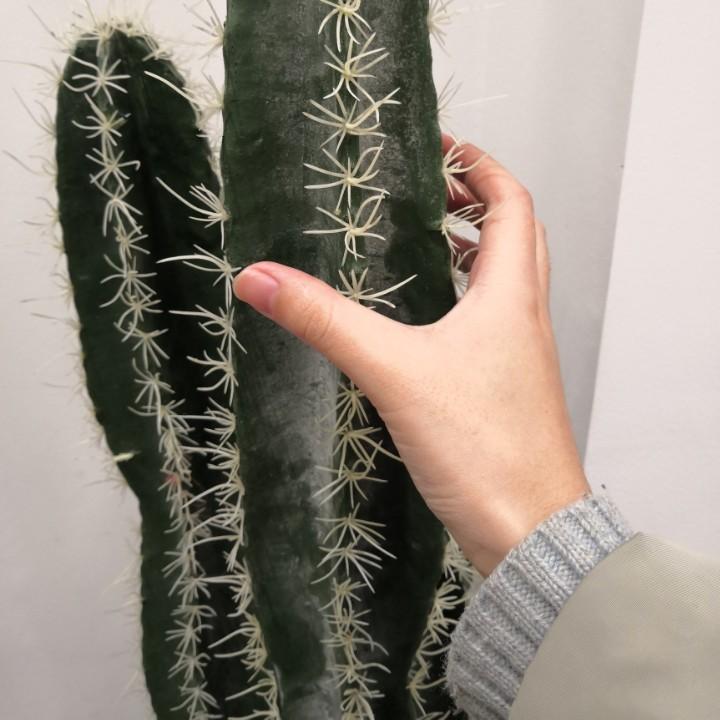 虾扯蛋吼
