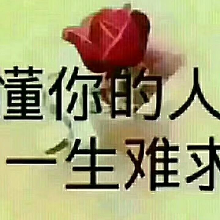 梦
