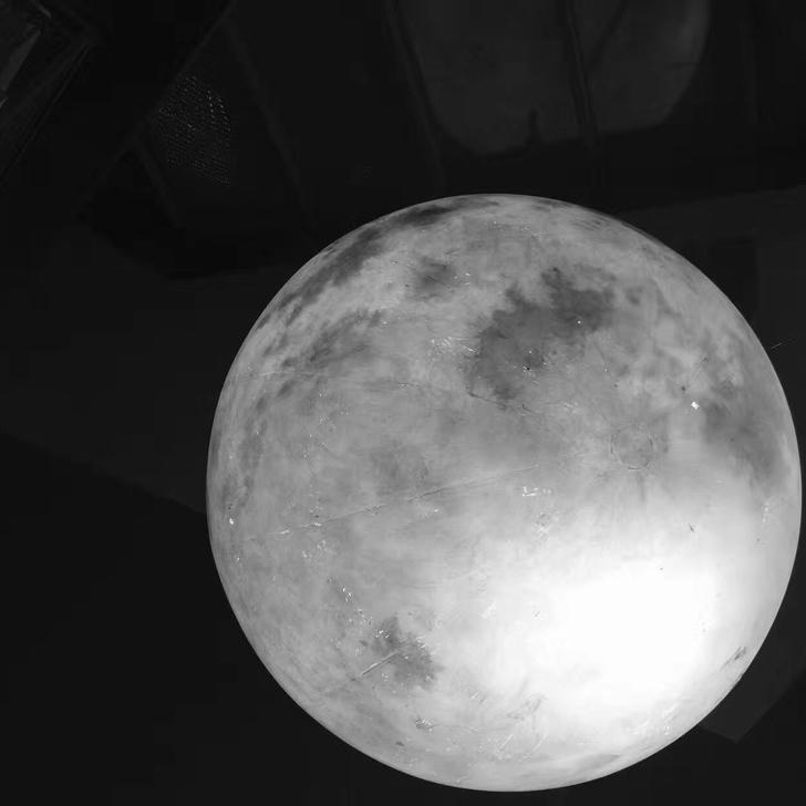 雾霾下茁壮成长的小绿萝