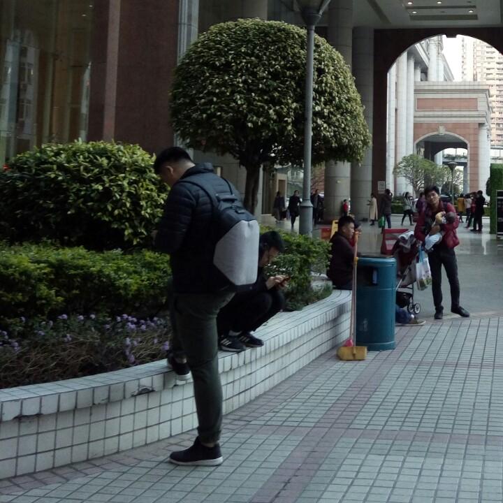 七安(づ ●─● )づ