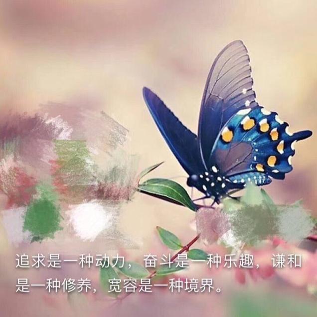诺凡