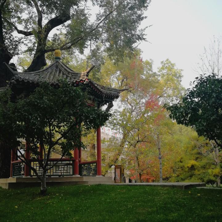 小胖