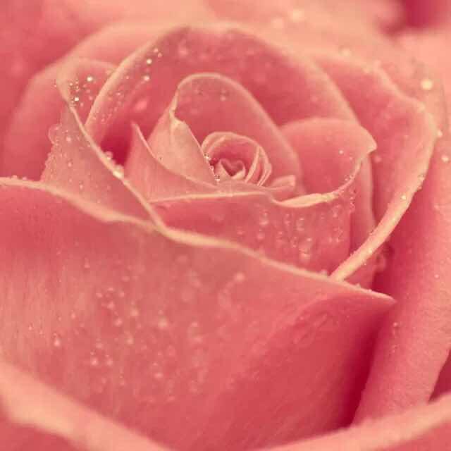 十指相扣，想十年