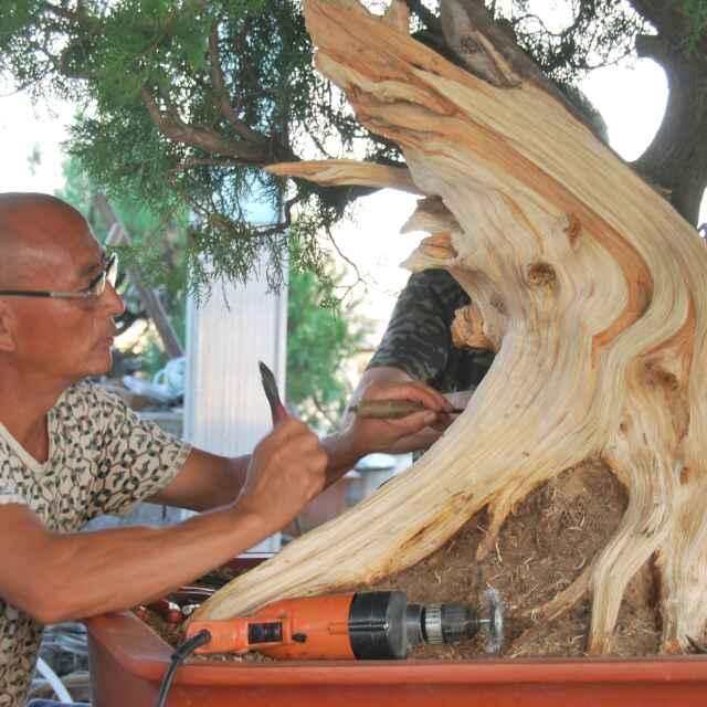 李伟枣庄逸园