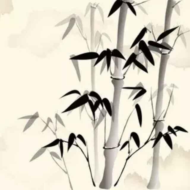 川哥在陕卖卡车