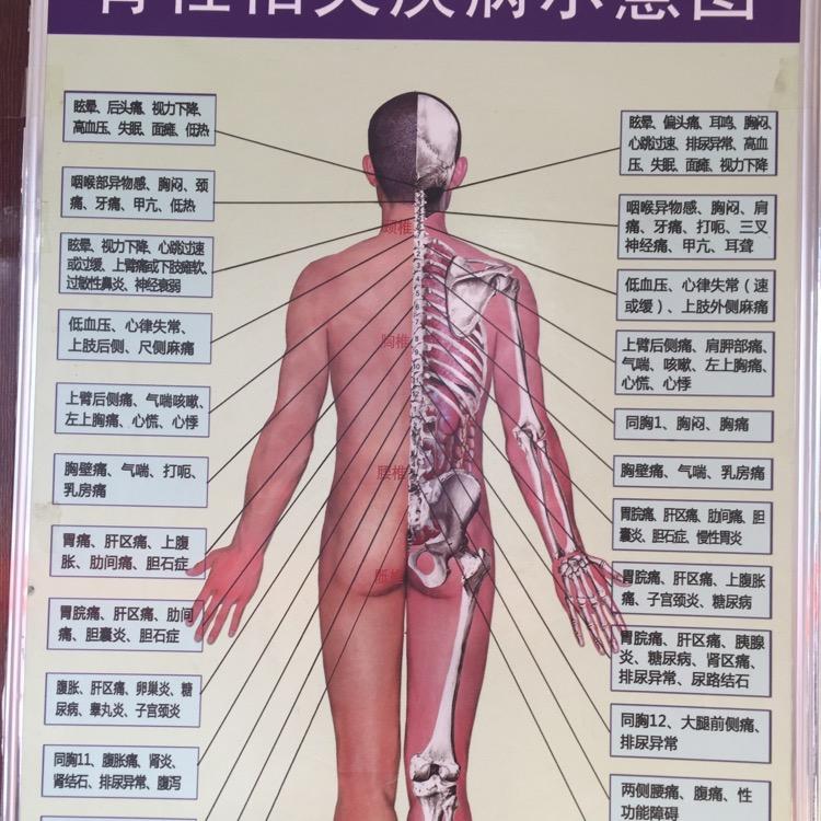 树来推拿按摩刮痧拔罐
