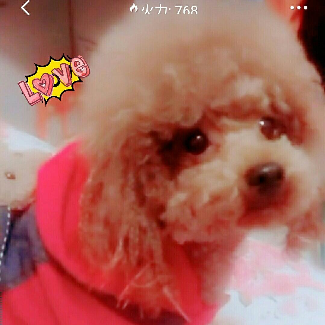灿烂♥阳光