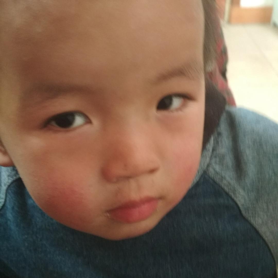 优优17731923