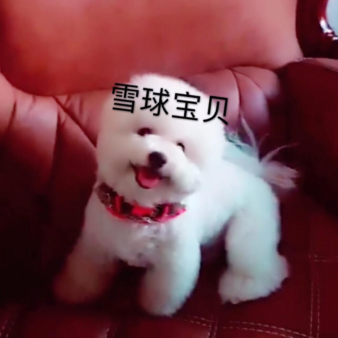天生丽质_21271