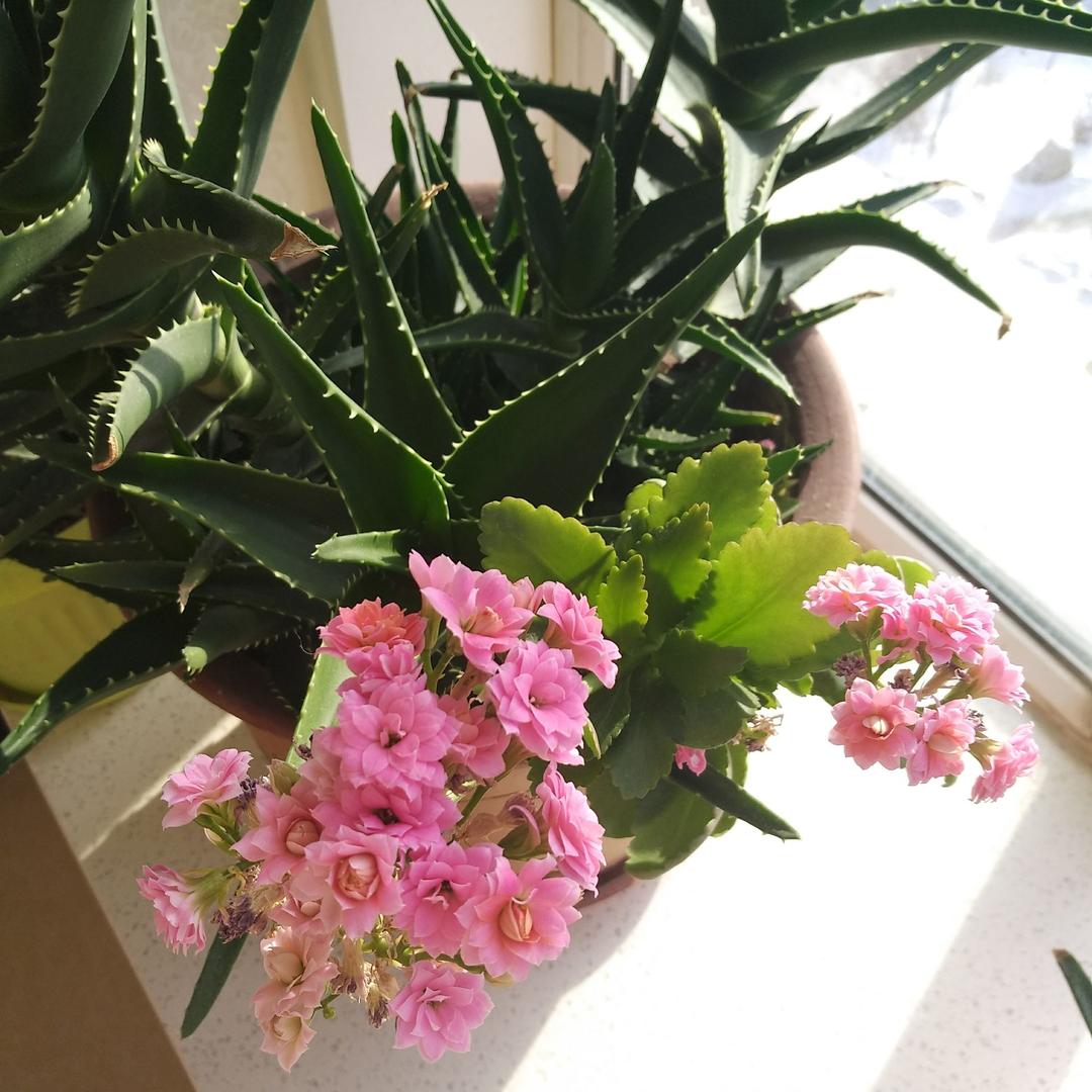 永远孩子气(●—●)