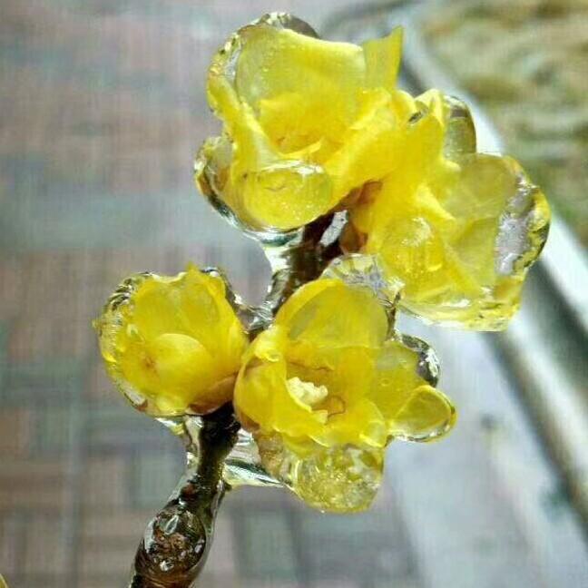 水珠
