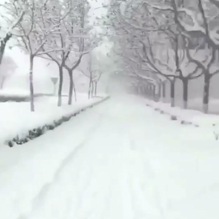木哟哟