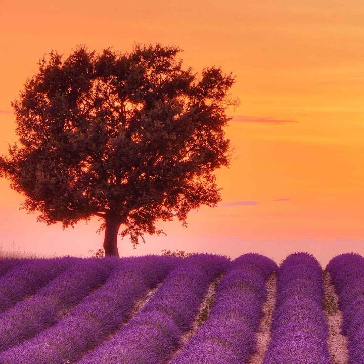 🐂🐂🐂两个大晴天113727☀️☀