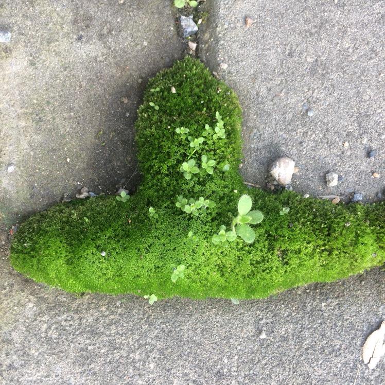 🌈 乄乂孔ོ 🔅🦖