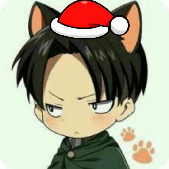 猪笨笨