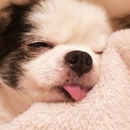 随便想个名字就这样吧