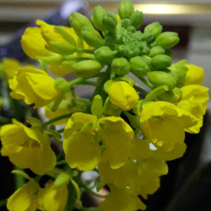 拾光