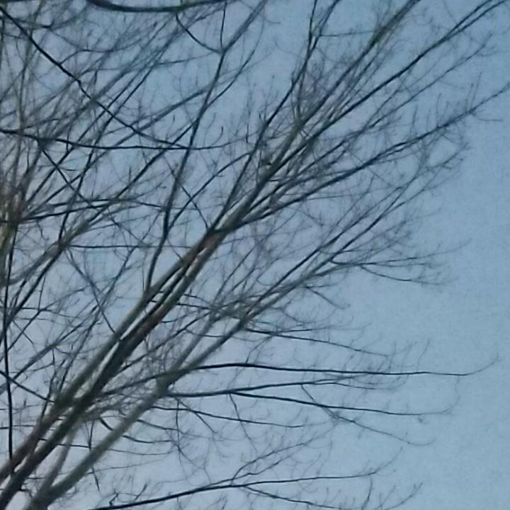 亚安金刚网小钦