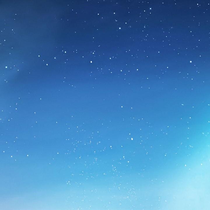 肥猫小侦探