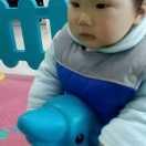 叶子
