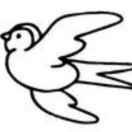 绿水青山•卍🕊