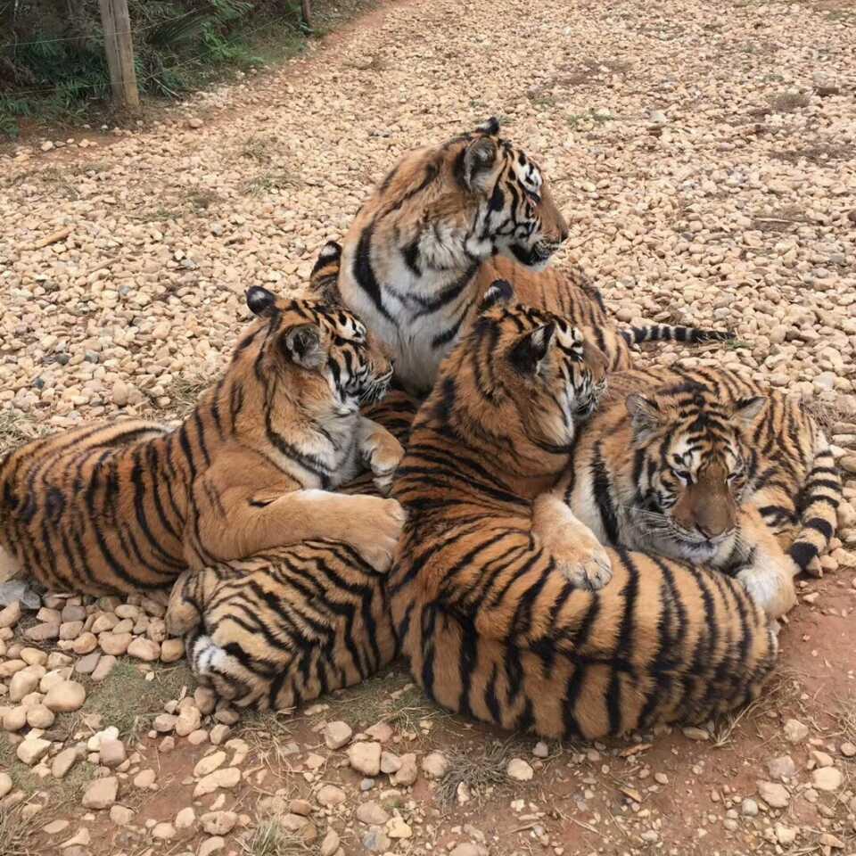你开心！我快乐！