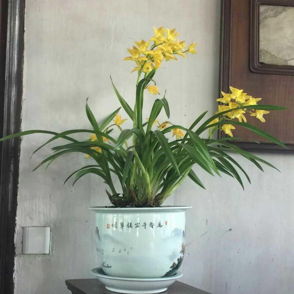 荣荣97648