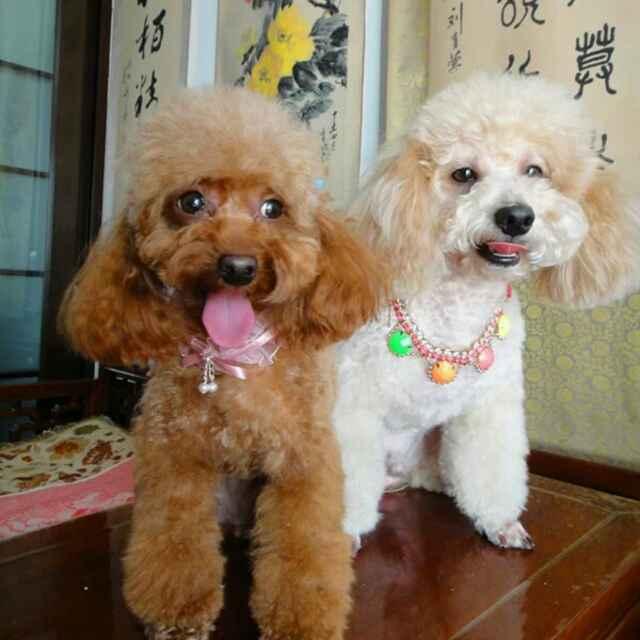 等等