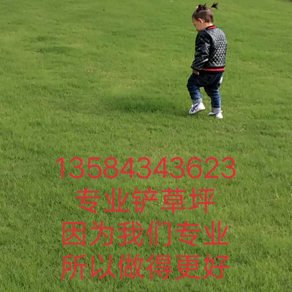 知足常乐：张昌富