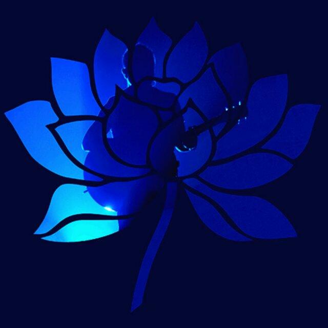 漫游丗界