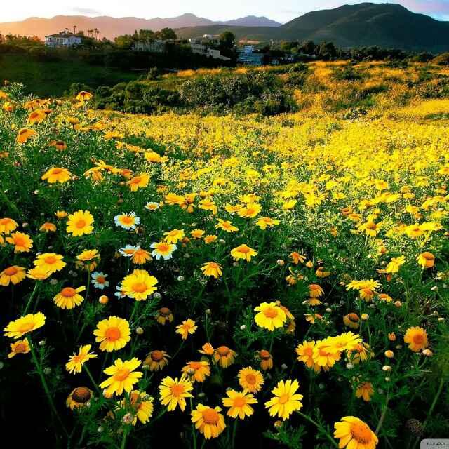 （汇亚瓷砖）做自信女人5614