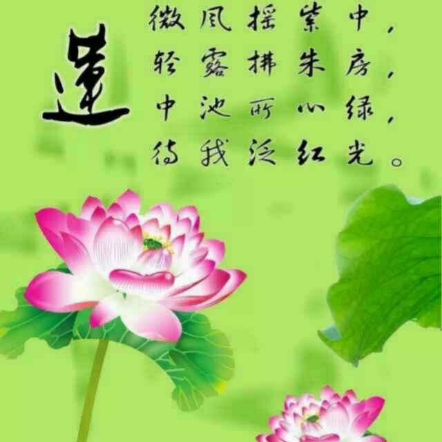 简单的幸福85616