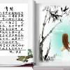 梦宝贝！！！