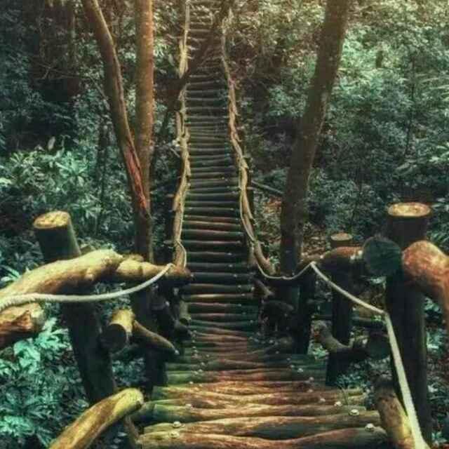 曦默