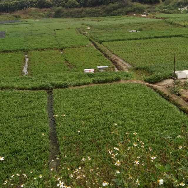 @丰调雨顺