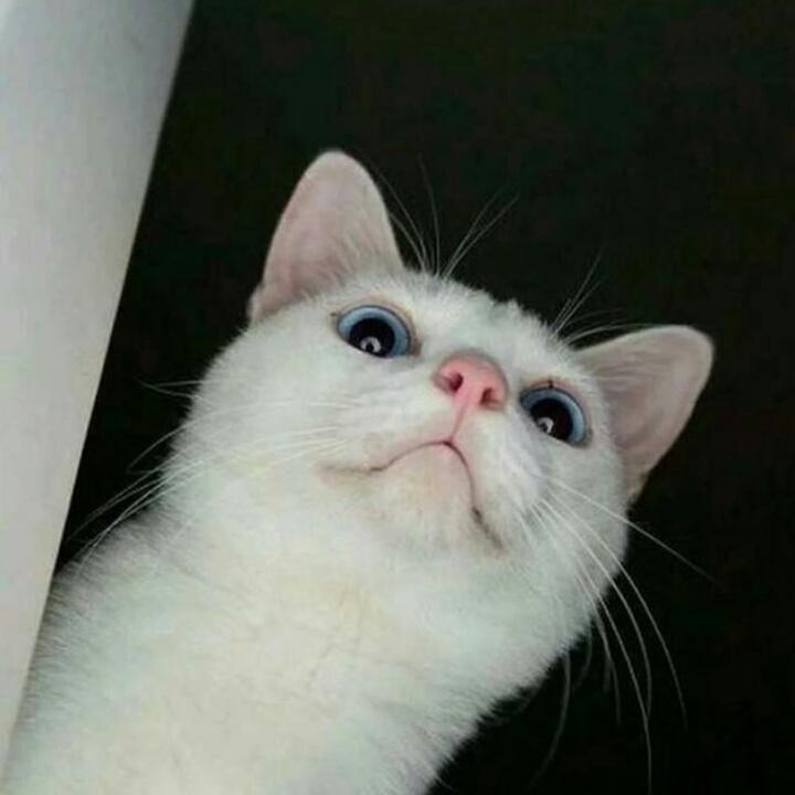 谁偷了我的雄风