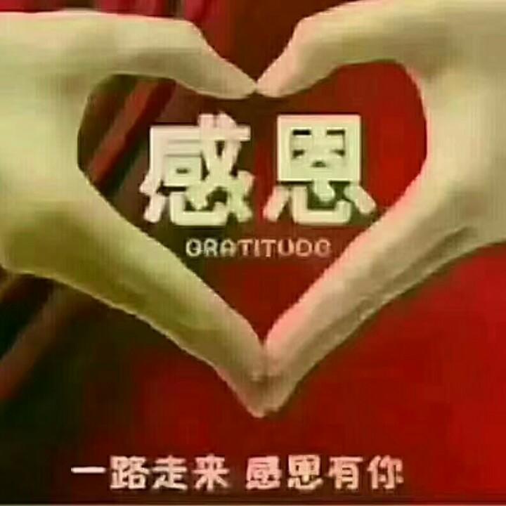 真心