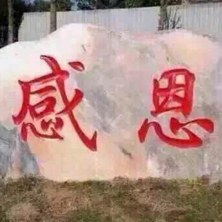 凌云驾雾的猪🐷